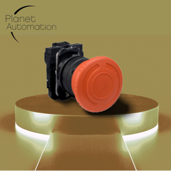 auto-show-designify (5)