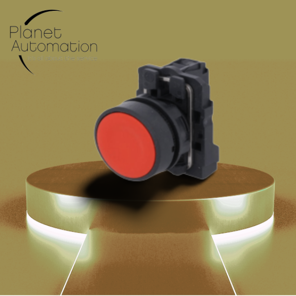 auto-show-designify (6)