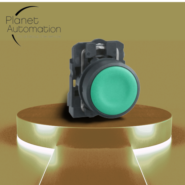 auto-show-designify (7)